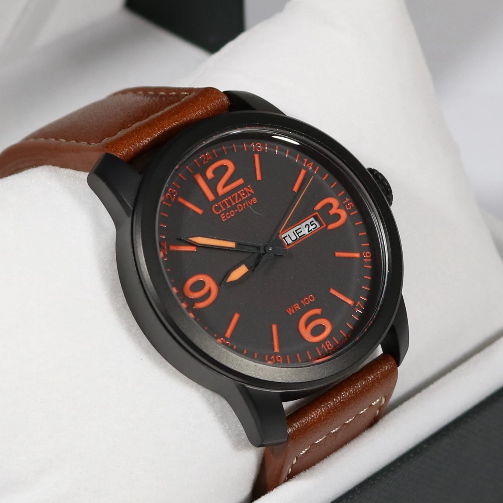 Citizen eco drive sales wr100 leather strap