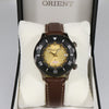 Orient King Diver Stainless Steel Gold Gradient Dial Men's Watch RA-AA0D04G